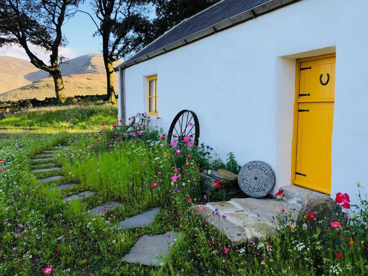 Thistle Thatch Cottage And Hot Tub - Mourne Mountains Newcastle  Luaran gambar
