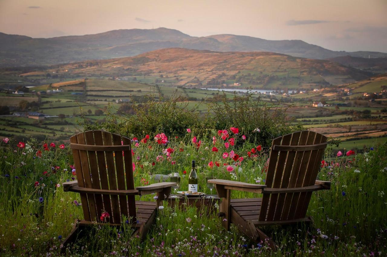 Thistle Thatch Cottage And Hot Tub - Mourne Mountains Newcastle  Luaran gambar