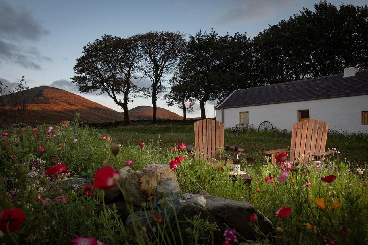 Thistle Thatch Cottage And Hot Tub - Mourne Mountains Newcastle  Luaran gambar