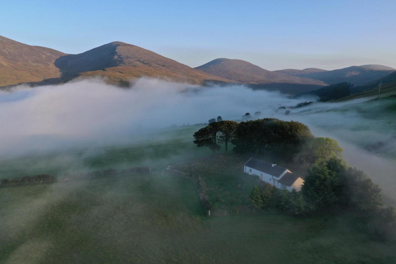 Thistle Thatch Cottage And Hot Tub - Mourne Mountains Newcastle  Luaran gambar